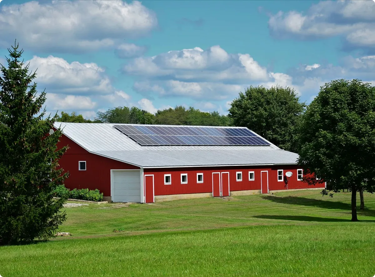 Desert Bloom Solar Farm